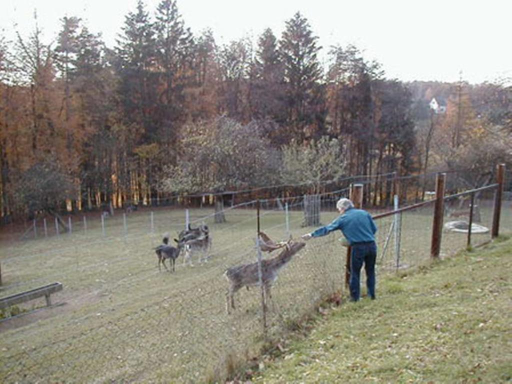 Pension Weber Еннерсдорф Экстерьер фото